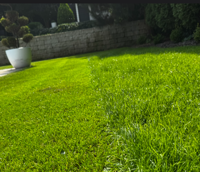 Professionelle Rasenpflege