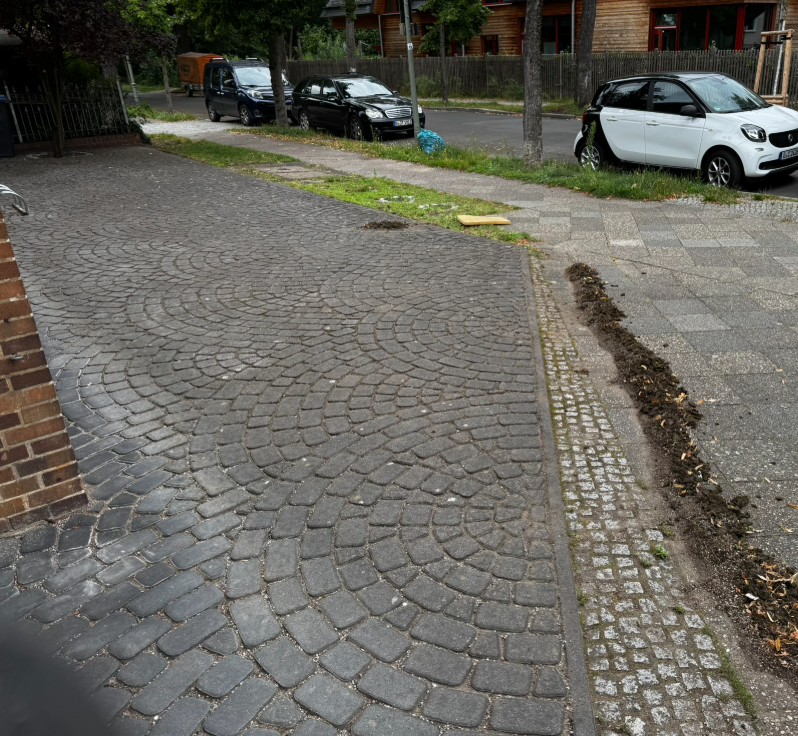 Pflasterreinigung Einfahrt
