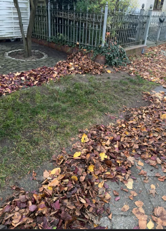 Gartenpflege mit Laubbeseitigung