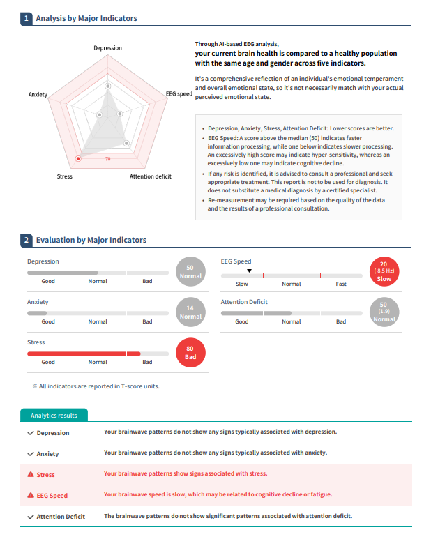 Brain function analysis report preview