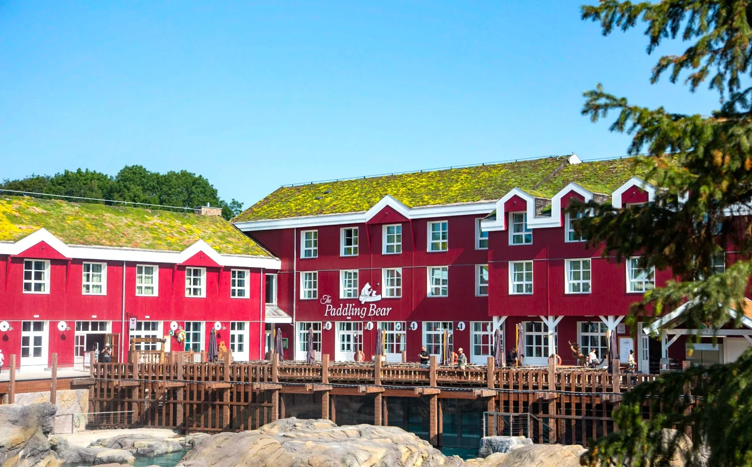 Bardage bois peinture