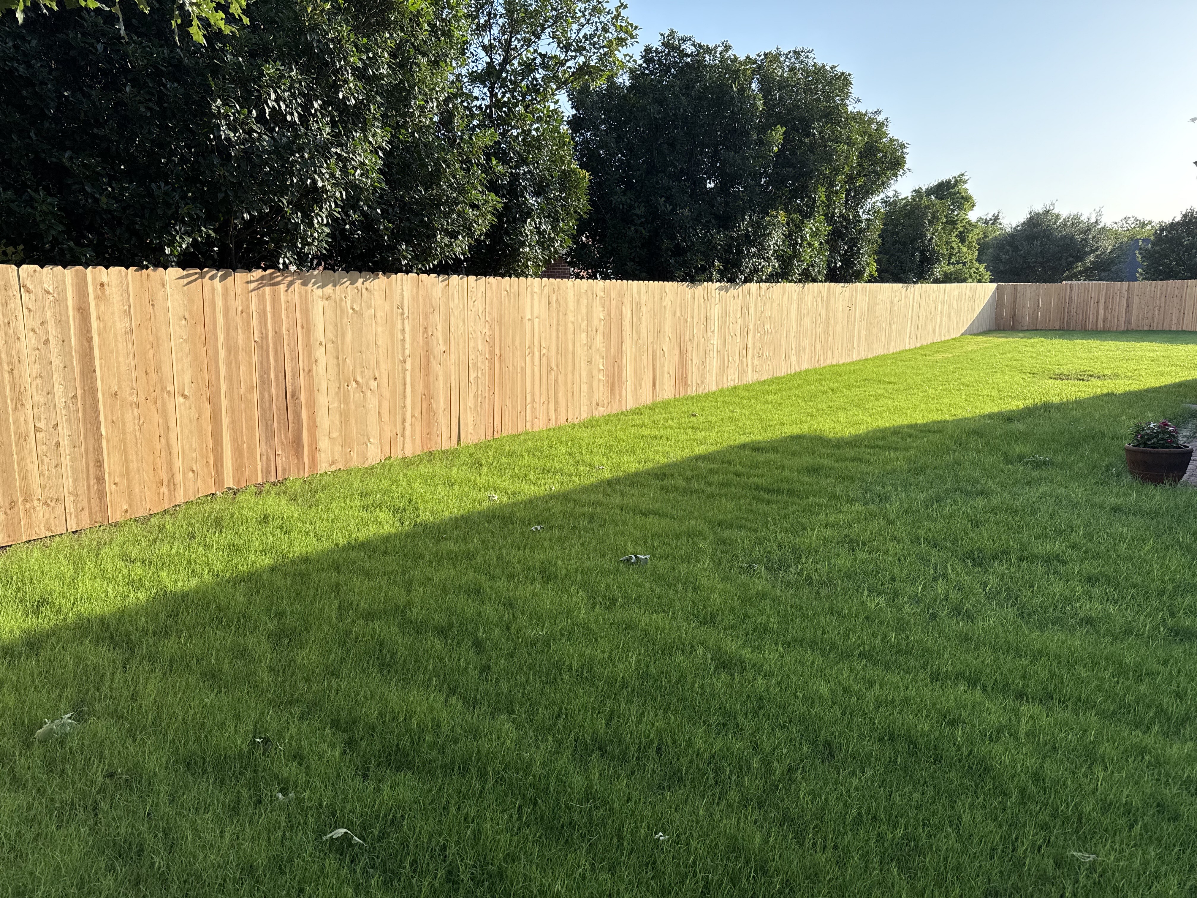 Cedar privacy fence along backyard lawn