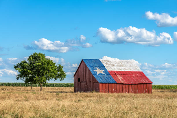 Abilene Roofing Pros professional team