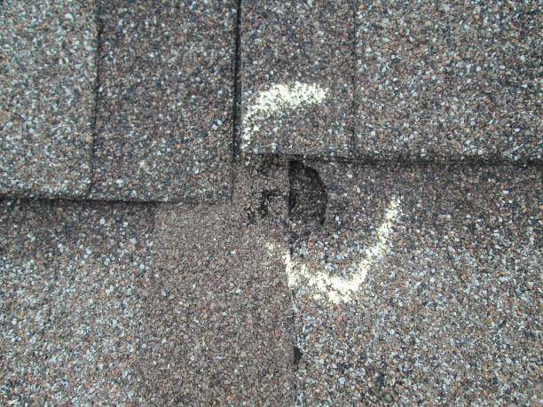Project image for Wylie District Hail Repair
