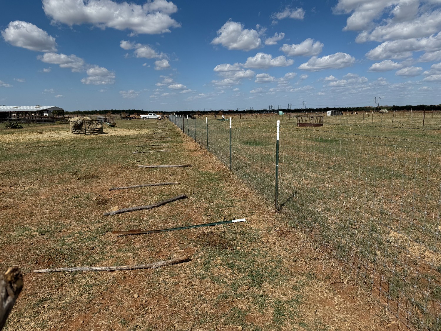 Metal goat and cattle fencing in West Texas