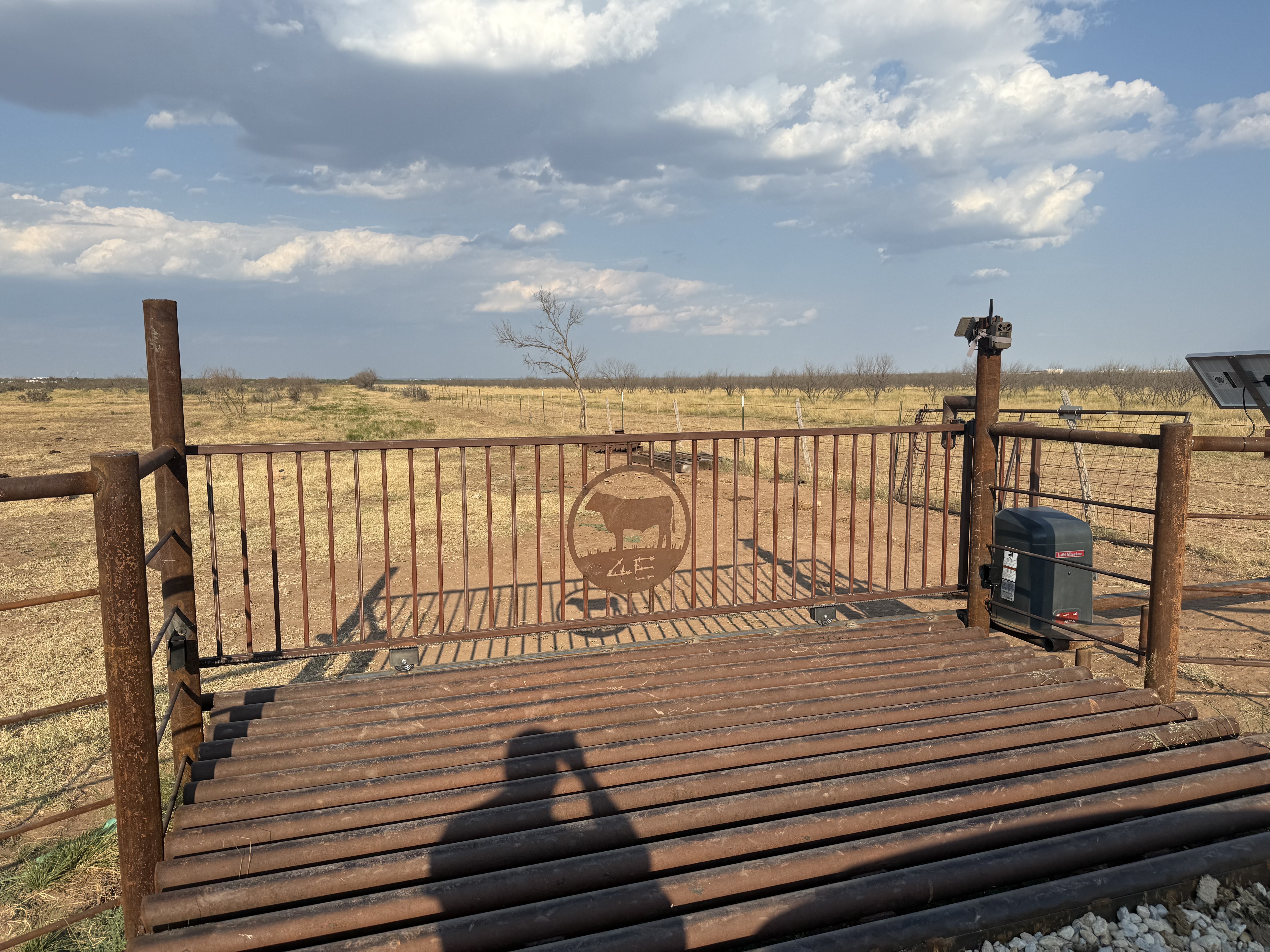 Ranch cattle guard with decorative metal gate