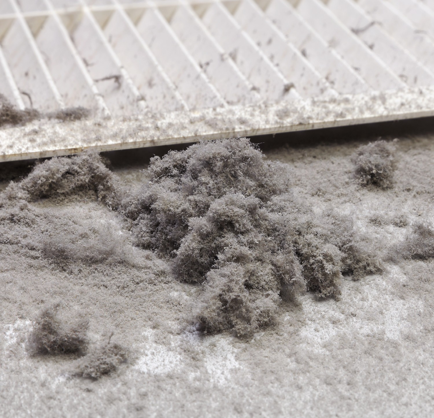 This Is What's In Your Ducts