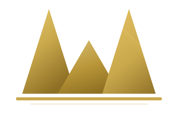 Envision Wealth Management Logo