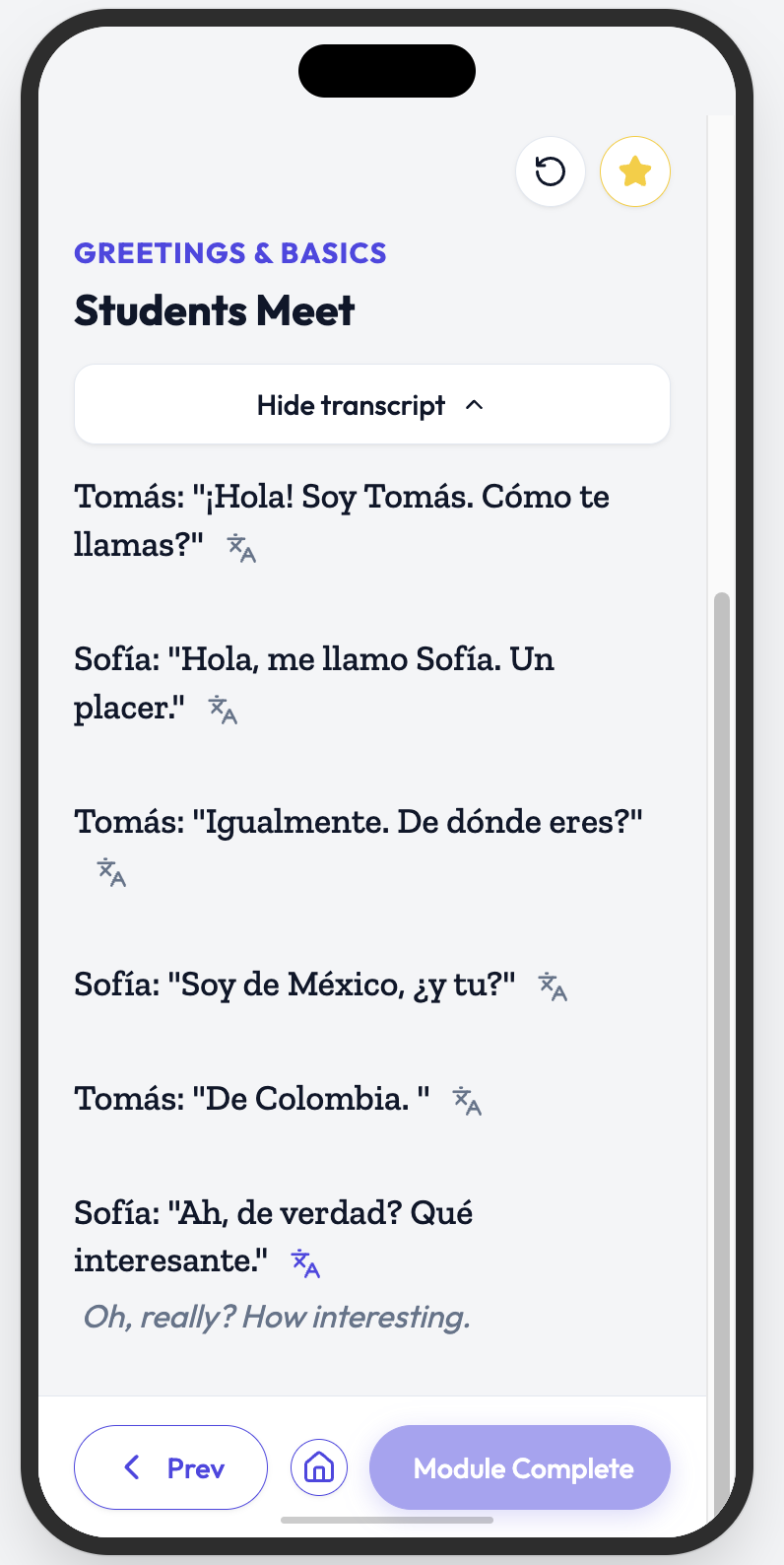 Scenio Transcript Interface