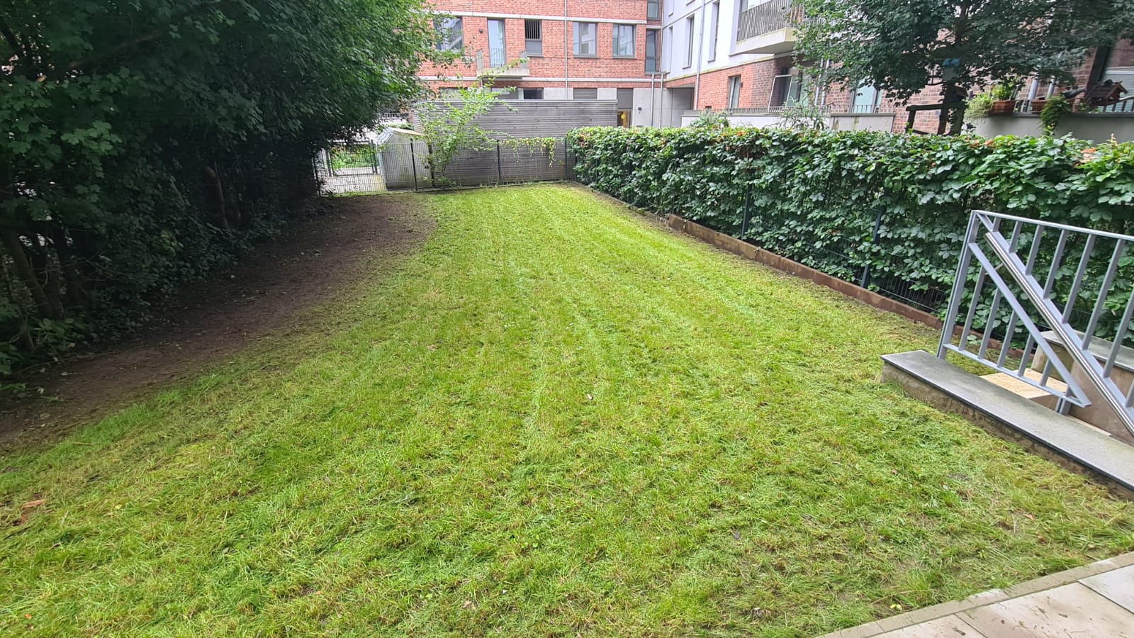 Professional lawn maintenance in urban residential area
