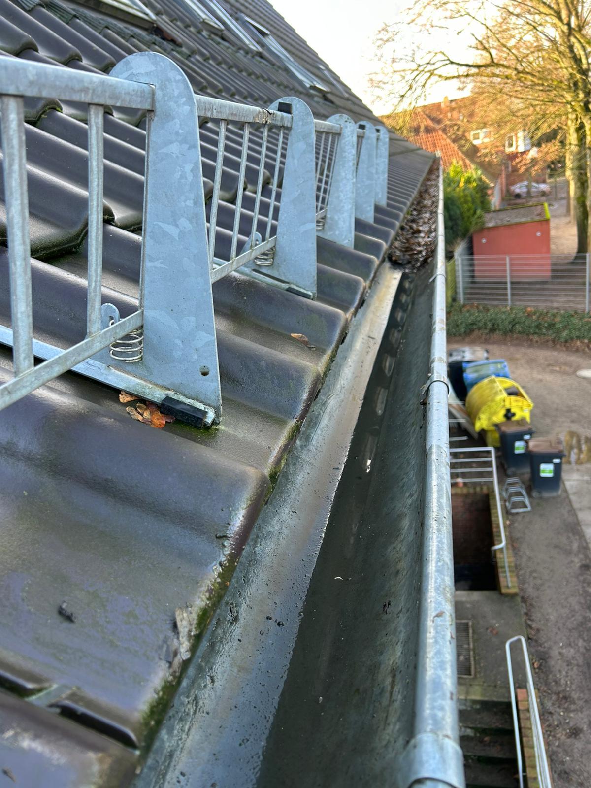 Professional gutter cleaning and exterior maintenance
