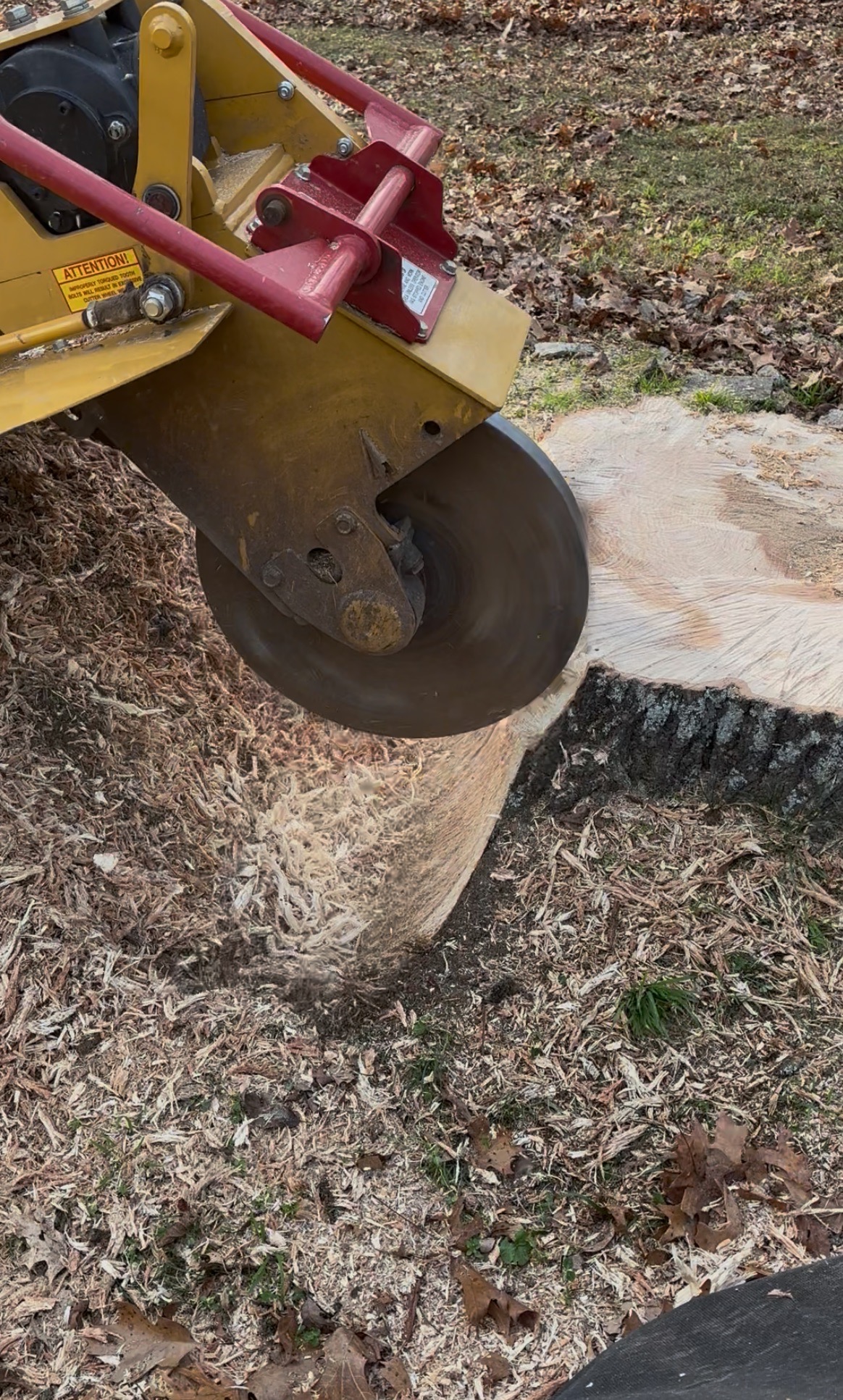 Stump grinder in action