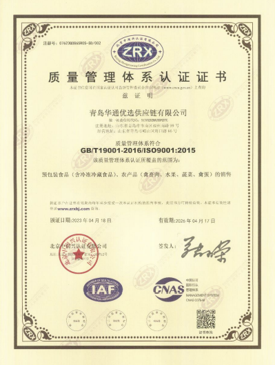 ISO 9001质量管理体系